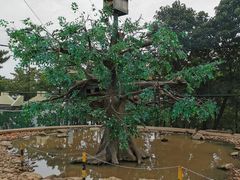 -西霞口神雕山野生动物世界