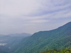 -梧桐山风景名胜区