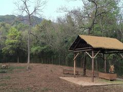 -合肥野生动物园