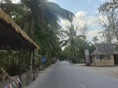 -西双版纳傣族园
