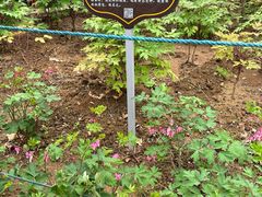 -洛阳市隋唐城遗址植物园