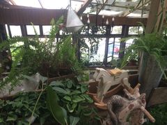 -懒鱼时光馆(沙坪坝店)