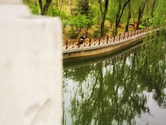 -迎泽公园
