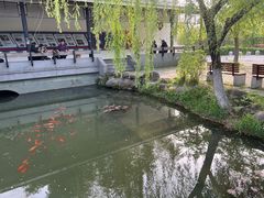 -大宁公园