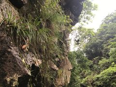 -浙西大峡谷