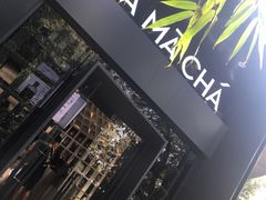-MAMACHA妈妈茶(岳麓山店)