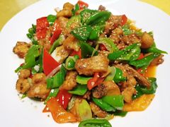 -煲来饱去冷水鱼