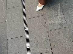 -探鱼·鲜青椒爽麻烤鱼(北京路天河城店)
