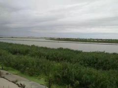 -合肥滨湖国家森林公园