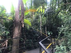 -呀诺达热带雨林