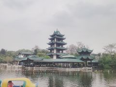-桂湖森林公园