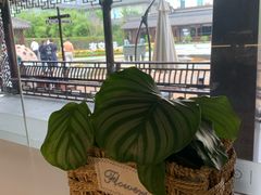 -西檬树SIMON·T轻奢蛋糕(大东方Max店)