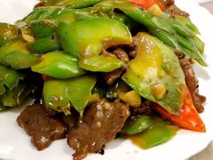 凉瓜炒牛肉-李记潮汕砂锅粥(营福路店)