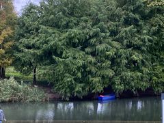 -上海山野camping·户外天幕烧烤·团建拓展营地