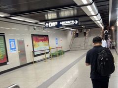 -皇冠幸福里动物奶油生日蛋糕(龙阳村地铁站店)