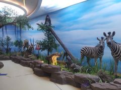 -西霞口神雕山野生动物世界