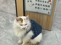 -瑞派雷欧宠物医院·24h夜诊·心脏骨科牙科·全科重症转诊中心(无影山店)
