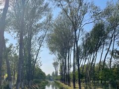 -东郊湿地公园