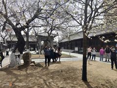 -护国法轮寺