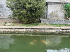 -三里河公园