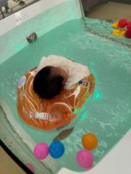 -馨月汇·独栋月子中心(南山店)