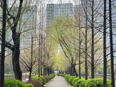 -宝岛公园