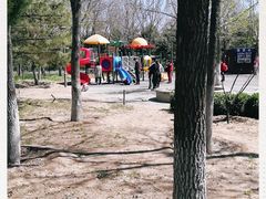 -大兴滨河森林公园