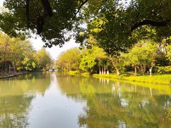 -西溪国家湿地公园