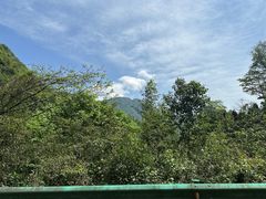-青城山