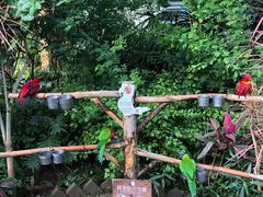 -南宫五洲植物乐园