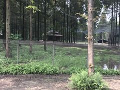 -黄海国家森林公园