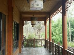 -合肥滨湖国家森林公园