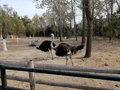 -大连森林动物园