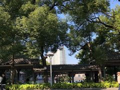 -荔湾湖公园