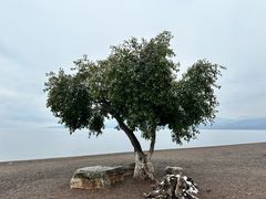 -抚仙湖禄充风景区