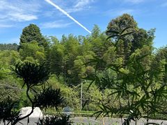 -蜀南竹海景区