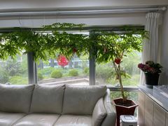 -精德口腔·种植修复·儿牙中心(财富中心店)