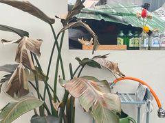 -稀物集咖啡(徽州大道店)