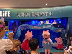 -沈阳海洋探索中心