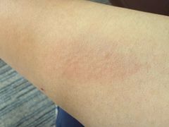 -国家会议中心大酒店