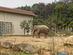 -宁波野生动物园