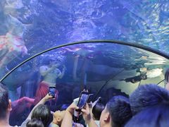 -洛阳龙门海洋馆