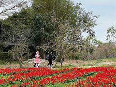 -天适樱花悠乐园