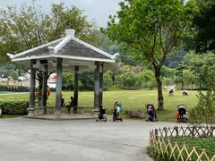 -火炉山森林公园