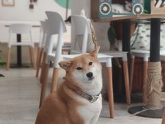 -小时光咖啡馆(北锣鼓巷店)