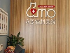 -御宝贝·A梦猫科宠物医院(国际猫友好医院)