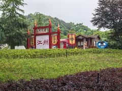 -铁山坪森林公园