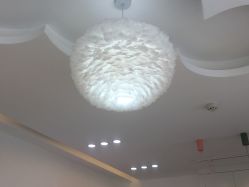 -E.L.K造型momopark店