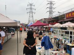 -中环花鸟鱼虫市场