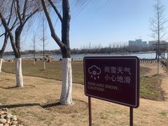 -滨湖塘西河公园